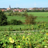 2309F 137 Aisch Radweg